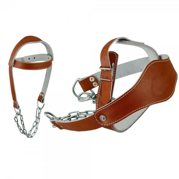 Leather Head Harness